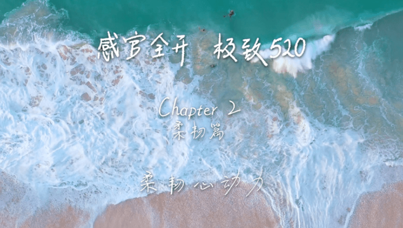 感官全开，极致520