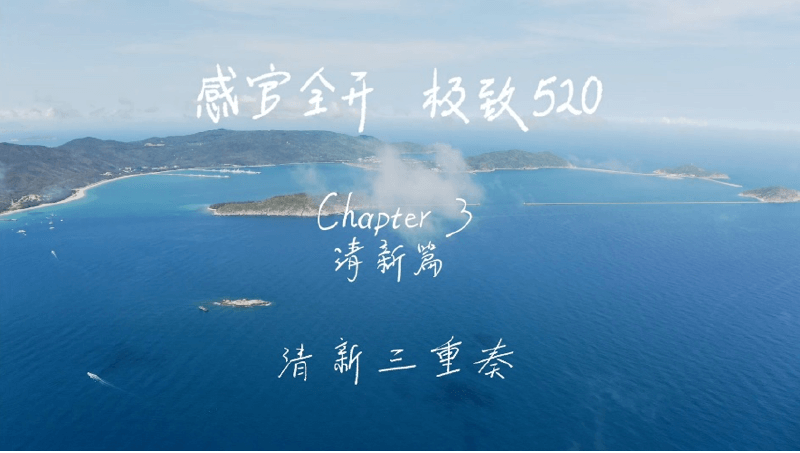 感官全开，极致520
